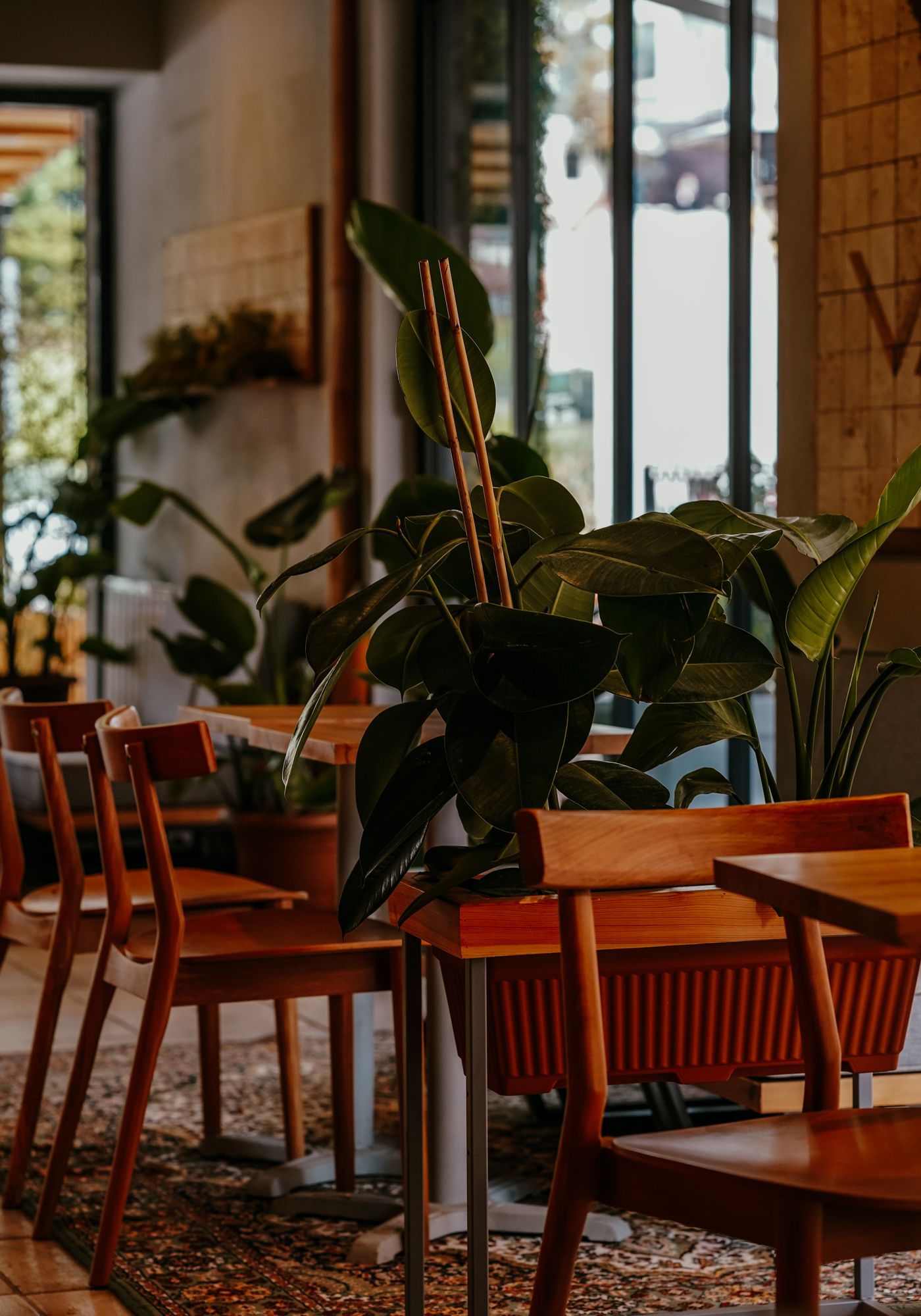 Ahşap mobilyalı, bitkilerle dolu sıcak bir kafe salonu